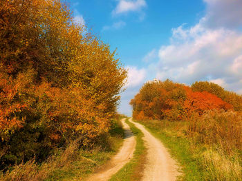 Road amidst autumn trees against sky