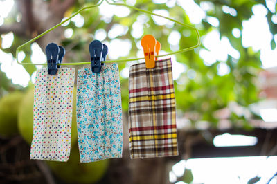 Low angle view of clothespins hanging on tree