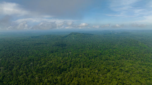 environment