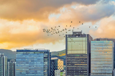 Birds flying in city against sky during sunset