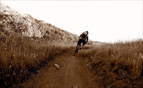 View of country road