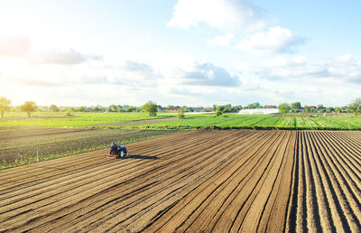 Farmer on a tractor cultivates land after harvesting. loosening, improving soil quality. development 