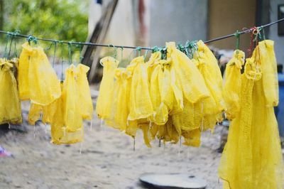 Close-up of clothes drying on clothesline