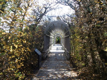 Footpath amidst trees in park during autumn