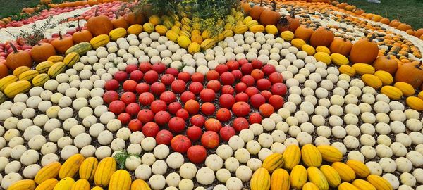 High angle view of pumpkins