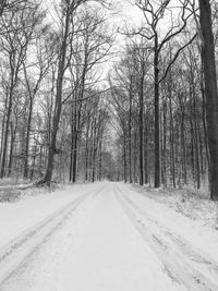 Snow covered road passing through forest