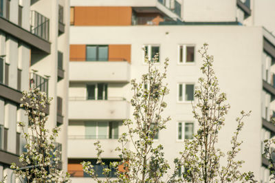 View of residential building