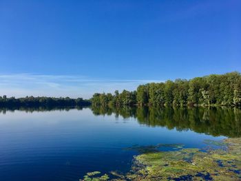 Scenic view of lake against blue sky