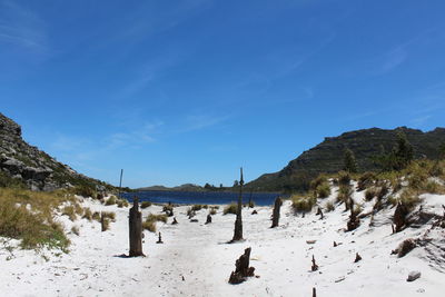 Scenic view of beach against blue sky