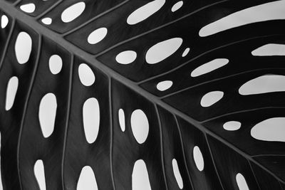 Full frame shot of abstract pattern