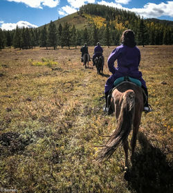 Rear view of people riding horse on field