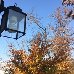 Low angle view of birdhouse against clear sky