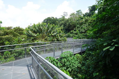 Footbridge over trees against sky