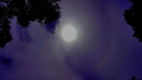 Close-up of tree against sun