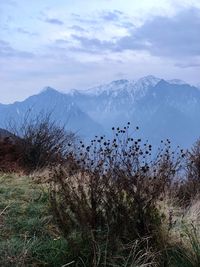 Scenic view of landscape against sky