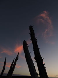 Low angle view of sky at sunset