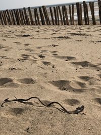 Scenic view of sand on beach