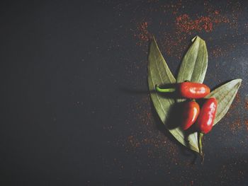 High angle view of red chili peppers on table