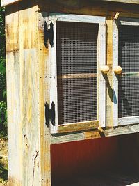 View of a cat looking through window