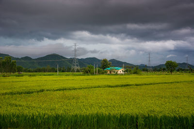 Scenic view of field against cloudy sky