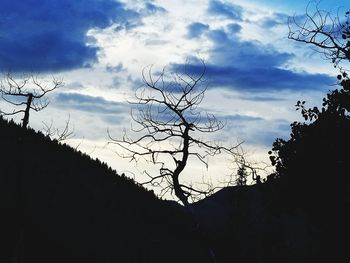 Low angle view of silhouette bare trees against sky