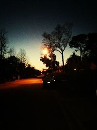 Silhouette of bare trees at night