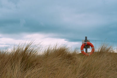 Lonesome lifebelt at the beach