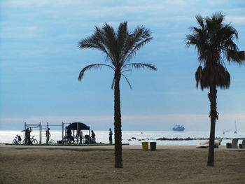 Palm trees on beach against sky