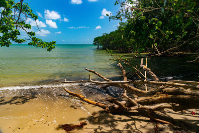 Driftwood on beach against sky