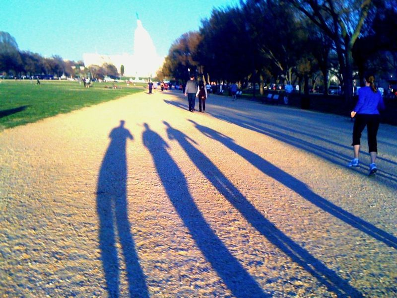 lifestyles, leisure activity, men, walking, person, shadow, sunlight, rear view, full length, togetherness, large group of people, tree, tourist, blue, medium group of people, sky, footpath