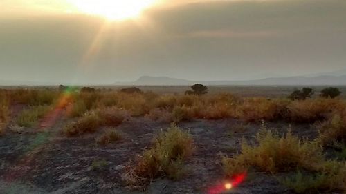 Scenic view of landscape against sky