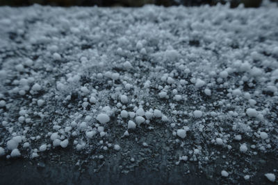 Close-up of snow on land