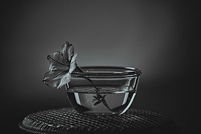 Close-up of flower on glass table against black background
