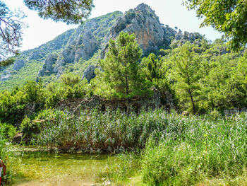 Scenic view of green landscape