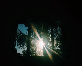 Sun shining through trees