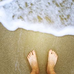 Low section of man standing on beach