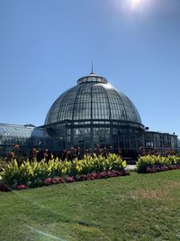 Flowering plants in front of building against clear sky