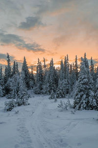 Snow covered field against sky during sunset