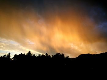 Low angle view of silhouette trees against sky at sunset