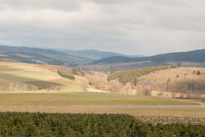 Scenic view of field against sky