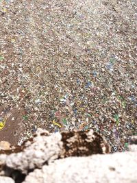 Surface level of stone wall