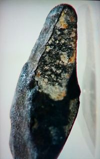 Close-up of rusty metal on rock against white background