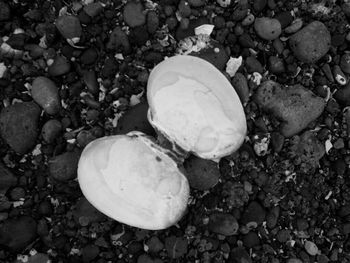 Close-up of pebbles