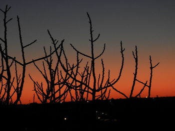 Silhouette bare trees against sky during sunset