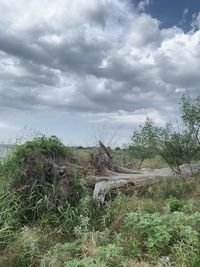 Abandoned barn on field against sky