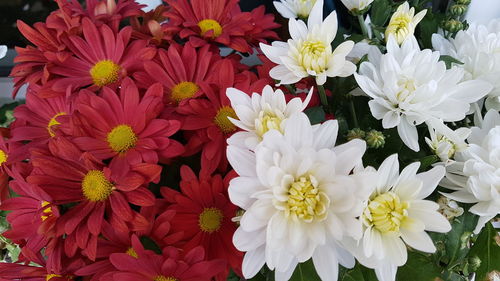 Close-up of flower bouquet
