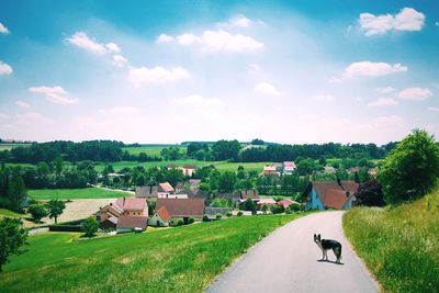 Houses on field against cloudy sky