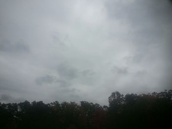 Low angle view of trees against cloudy sky