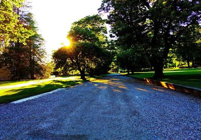 Road passing through trees