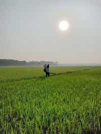 Farmers are cultivating paddy fields